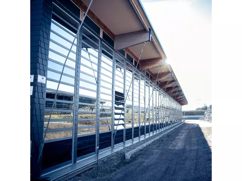 Design ohne Titel (2).webp