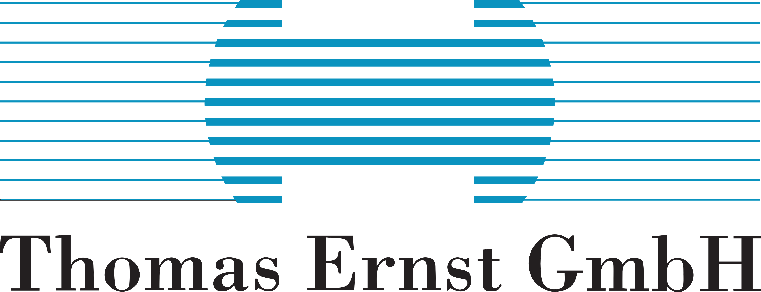 Thomas Ernst GmbH Logo