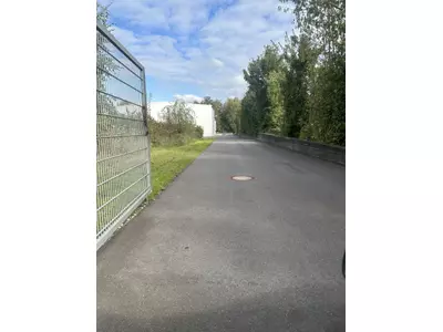 20241004_114742280_iOS.jpg