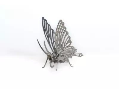 Schmetterling