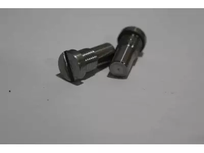 Screw