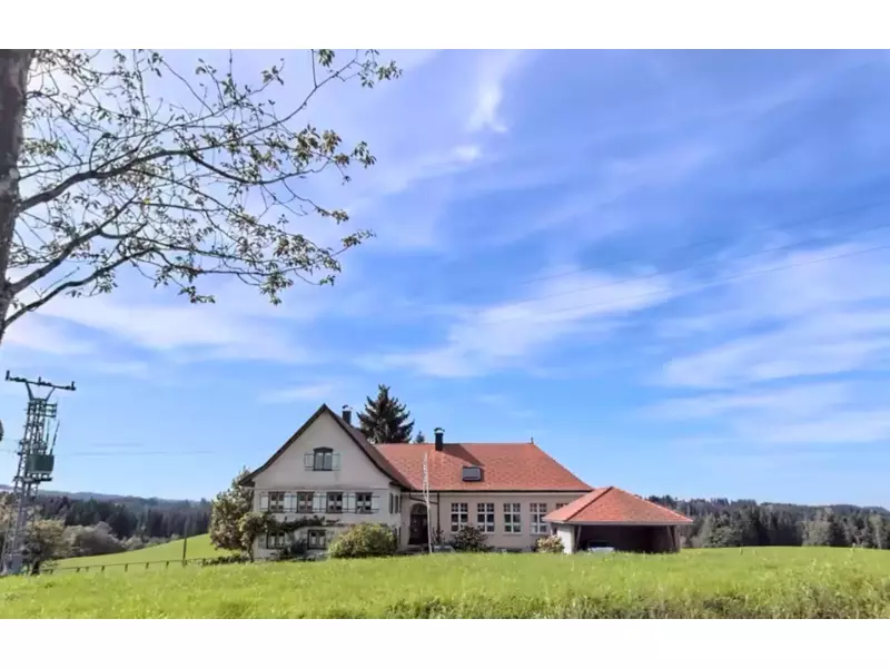 office and production.webp