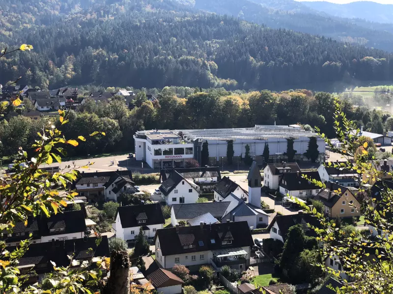 Halle HGE GmbH.webp