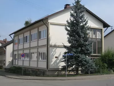 11385848.jpg